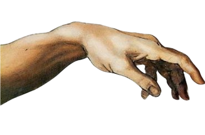 human-hand